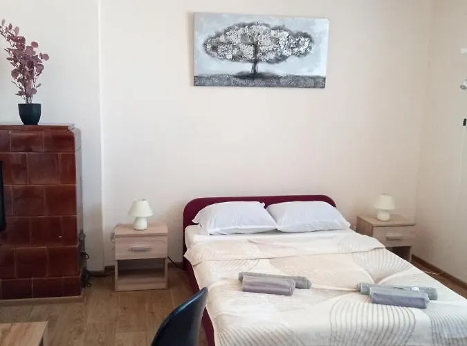 Benic Apartament *