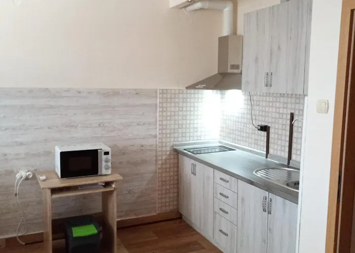 Benic Apartament